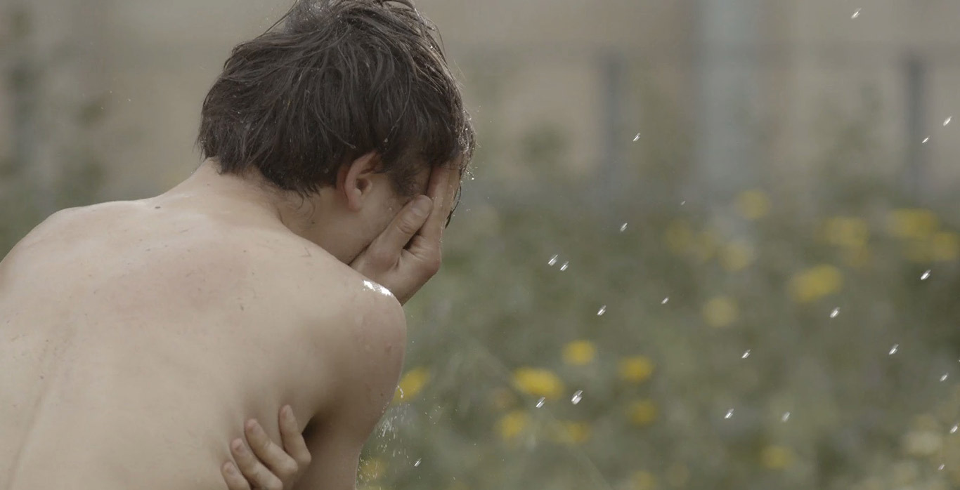 body_remember_5th_digital_butterfly2_gnotv