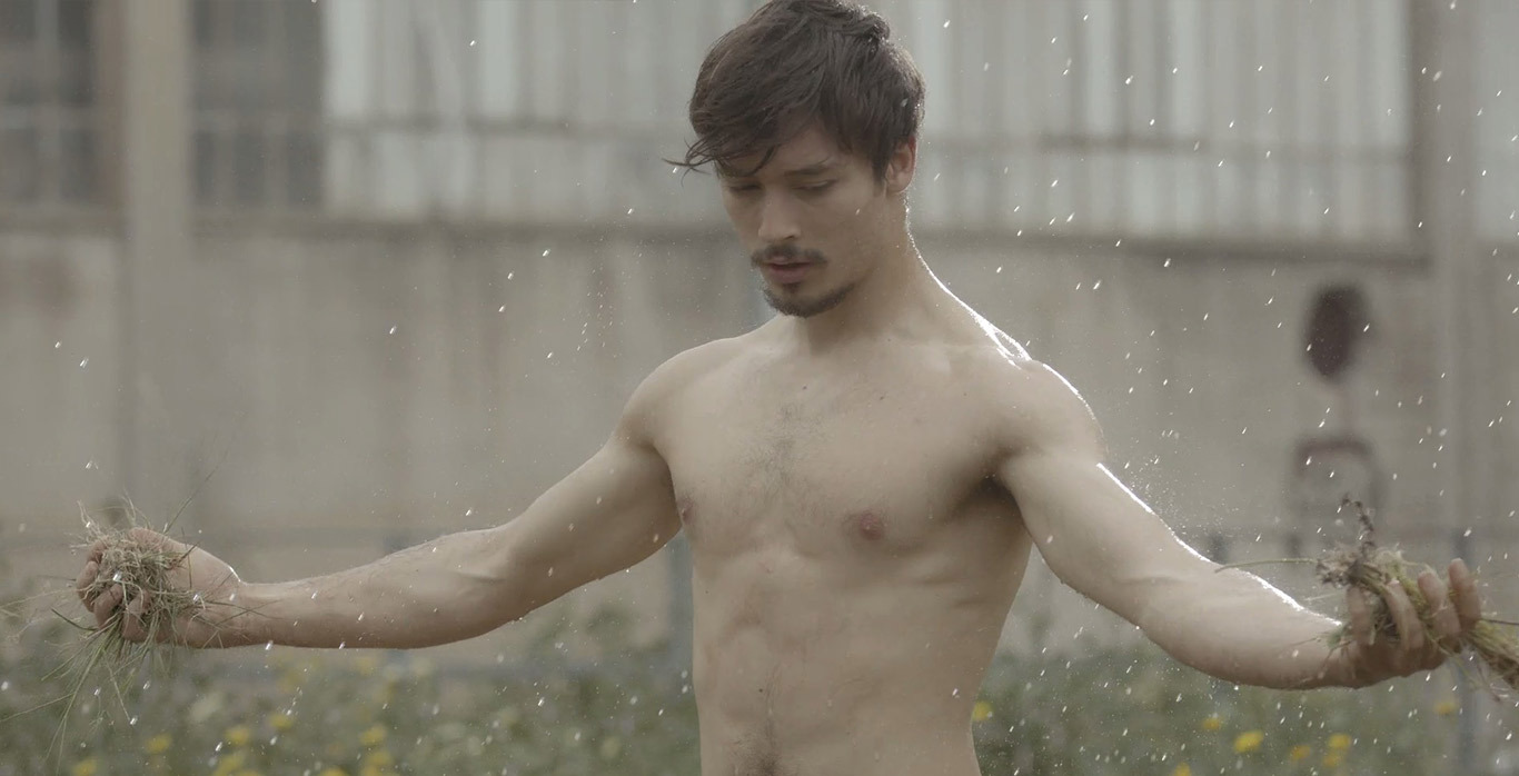 body_remember_5th_digital_butterfly3_gnotv