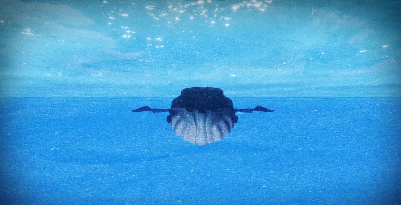 koraki_falaina_gnotv_5