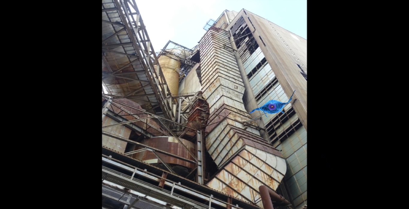 image5