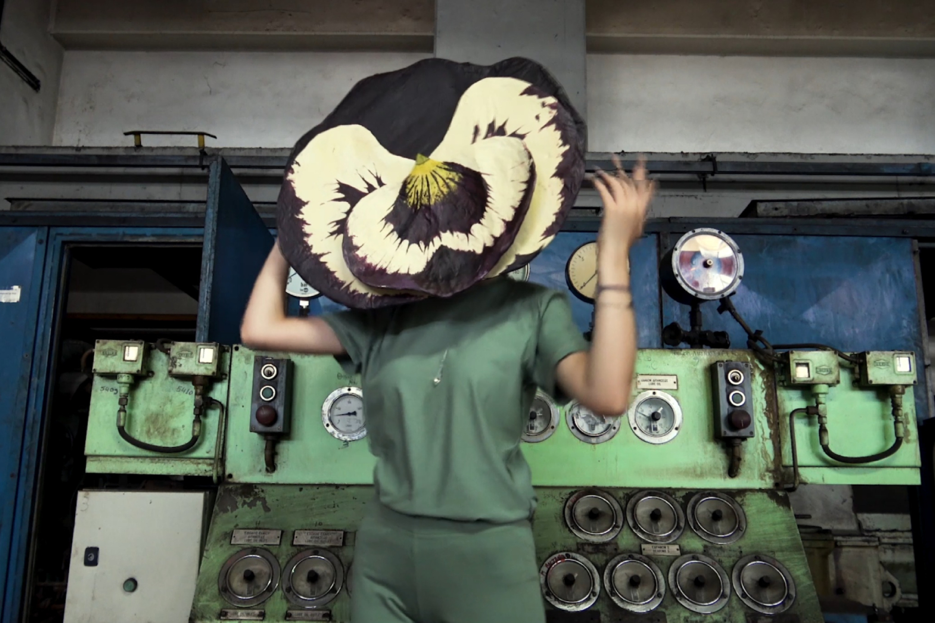 flower_wondering_hero