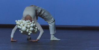 harpy_5th_digital_festival_gnotv