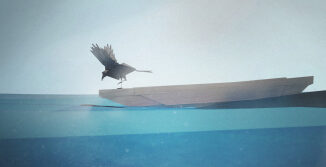 koraki_falaina_gnotv_1