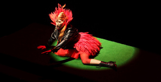 πριγκιπας_ιβαν_και_πουλι_φωτιας__-_β_ζαχαροπουλου-_φωτο_γερ__δομενικος