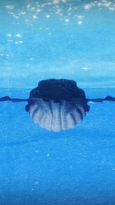 koraki_falaina_gnotv_375x667