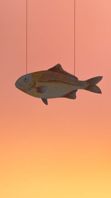 to_fylahto_gnotv_mobile