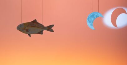 to_fylahto_gnotv_thumbnail