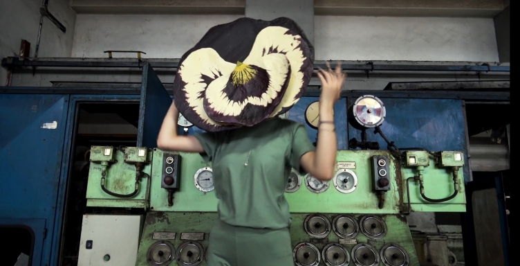 flower_wondering_thumbnail